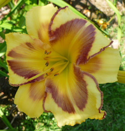 Kathleen Donovan Warren